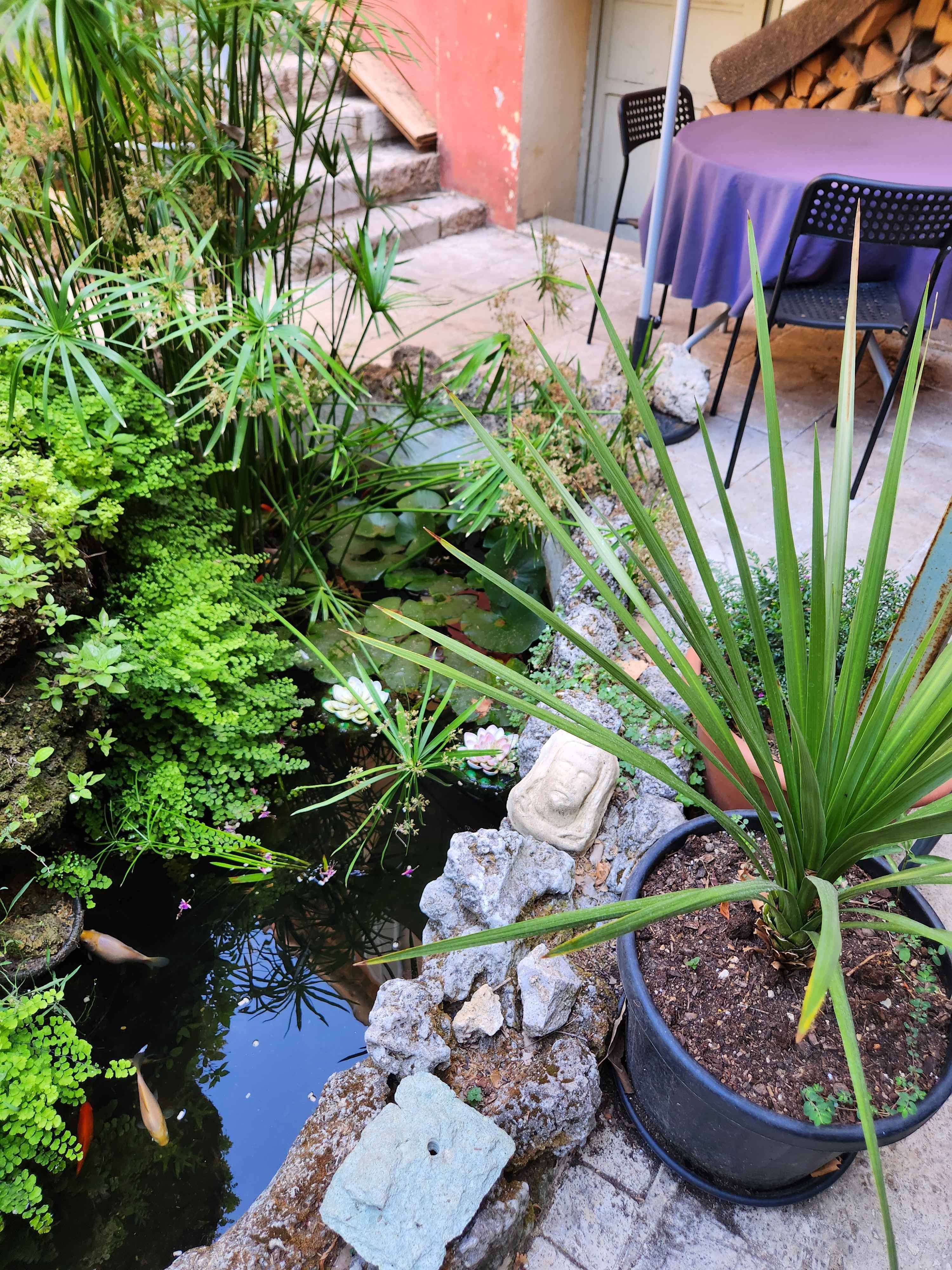 Le jardin intérieur et son bassin (12/13)